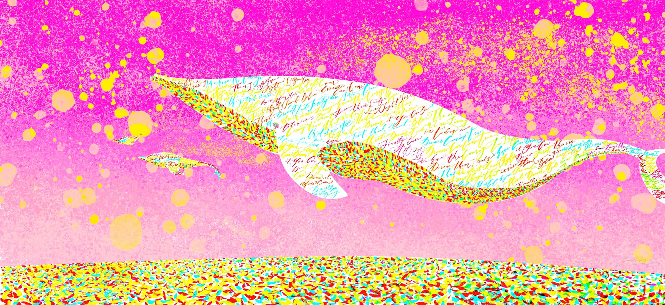 NATSUYUME KUJIRA 2024 アイキャッチ